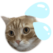 037