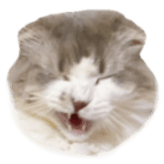 040