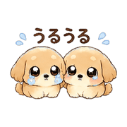 020