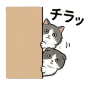 006