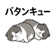 009
