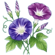 004