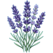 040