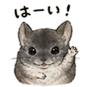 008