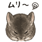 023