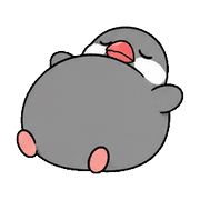019