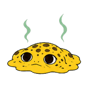 008