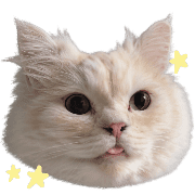 002