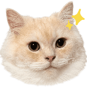 013