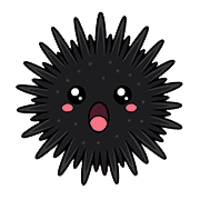 005