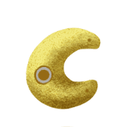003