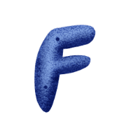 006