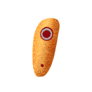 009