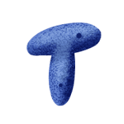 020