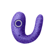 021