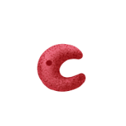 029