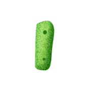 053
