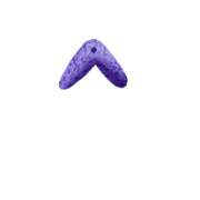 070