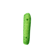 081