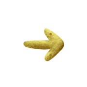 101