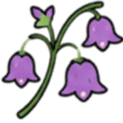 019