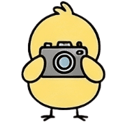 008