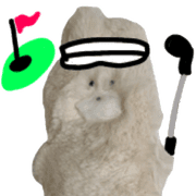005
