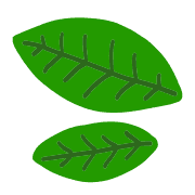 015