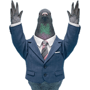 015