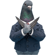 016