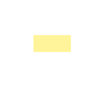 251