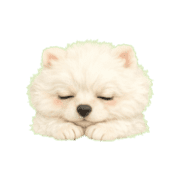 009