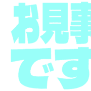276