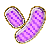 095