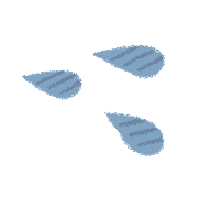 036