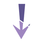 261