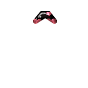 231