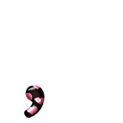 245