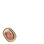 256