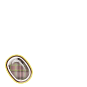 256