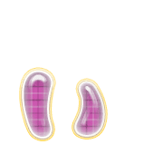 048