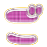 060
