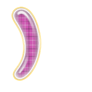 235