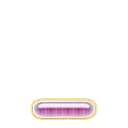 250
