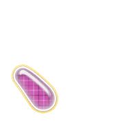 256