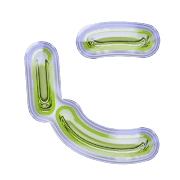 022