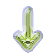 261