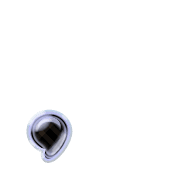 245
