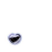 246