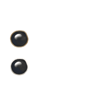 244
